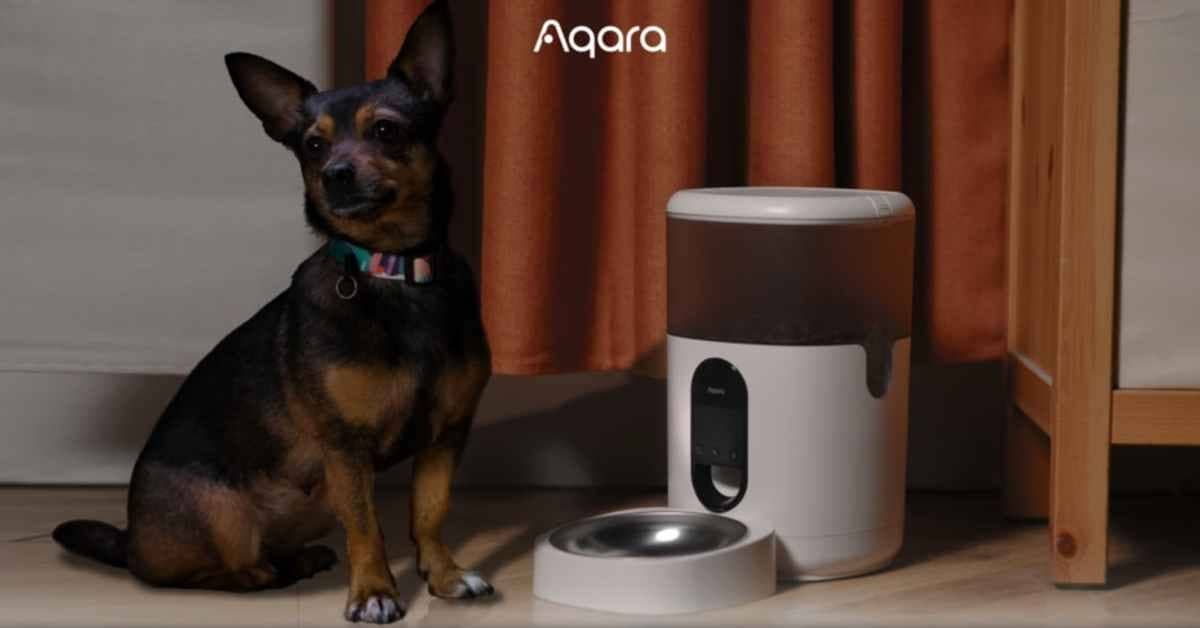 may-cho-thu-cung-an-tu-dong-aqara-petc1-m01 Máy cho thú cưng ăn tự động Aqara PETC1-M01