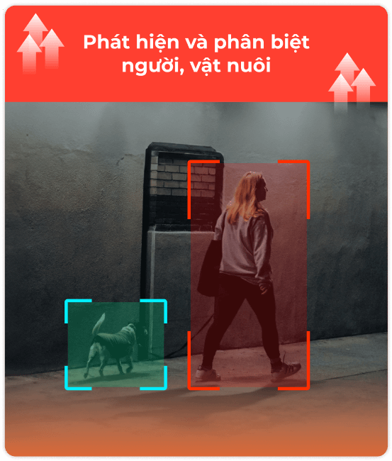 ai-camera-hub-vconnex AI CAMERA HUB VCONNEX phát hiện và phân biệt vật nuôi