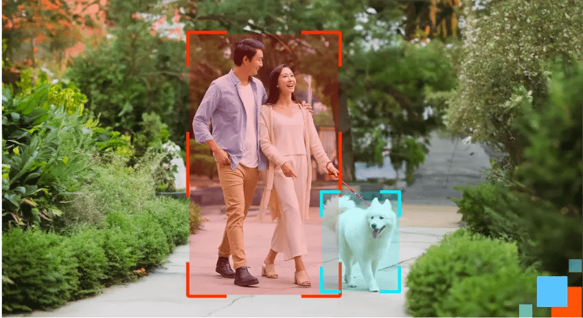 ai-camera-hub-vconnex AI CAMERA HUB VCONNEX nhận diện phân biệt người và vật nuôi